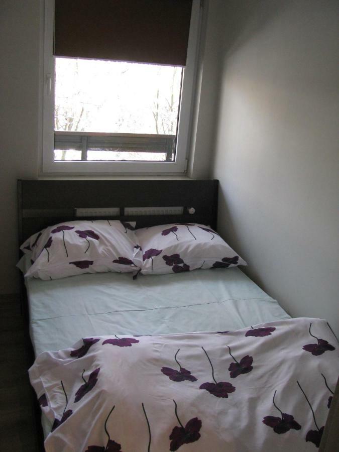 Apartament Zakopane Eksteriør billede